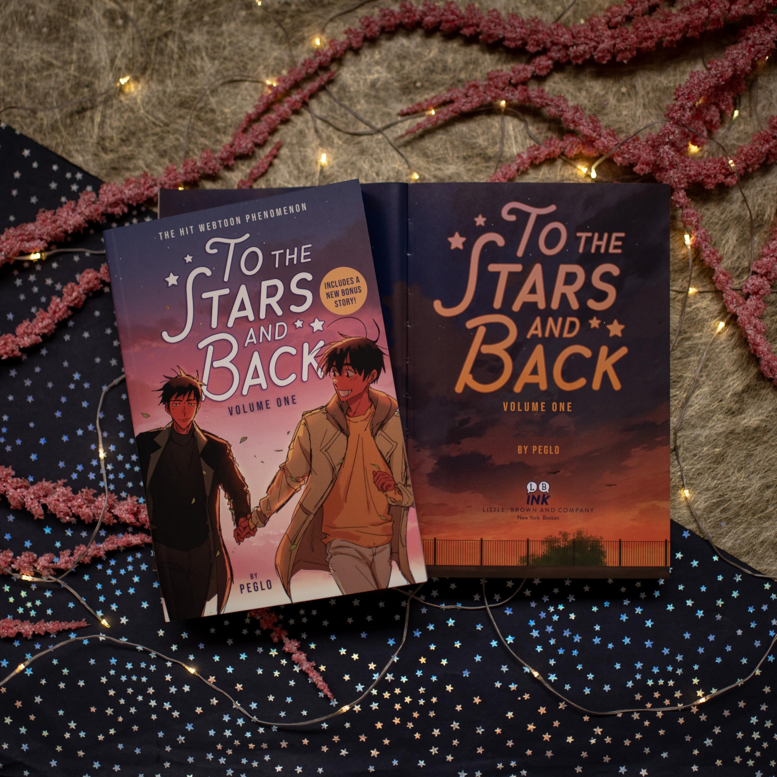 To the stars and back: Volume 1