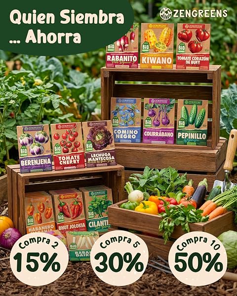 ZenGreens® - Semillas de espinaca winter giant bio - 5