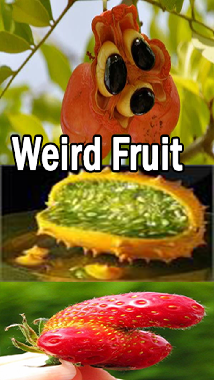Fruit That Looks Weird