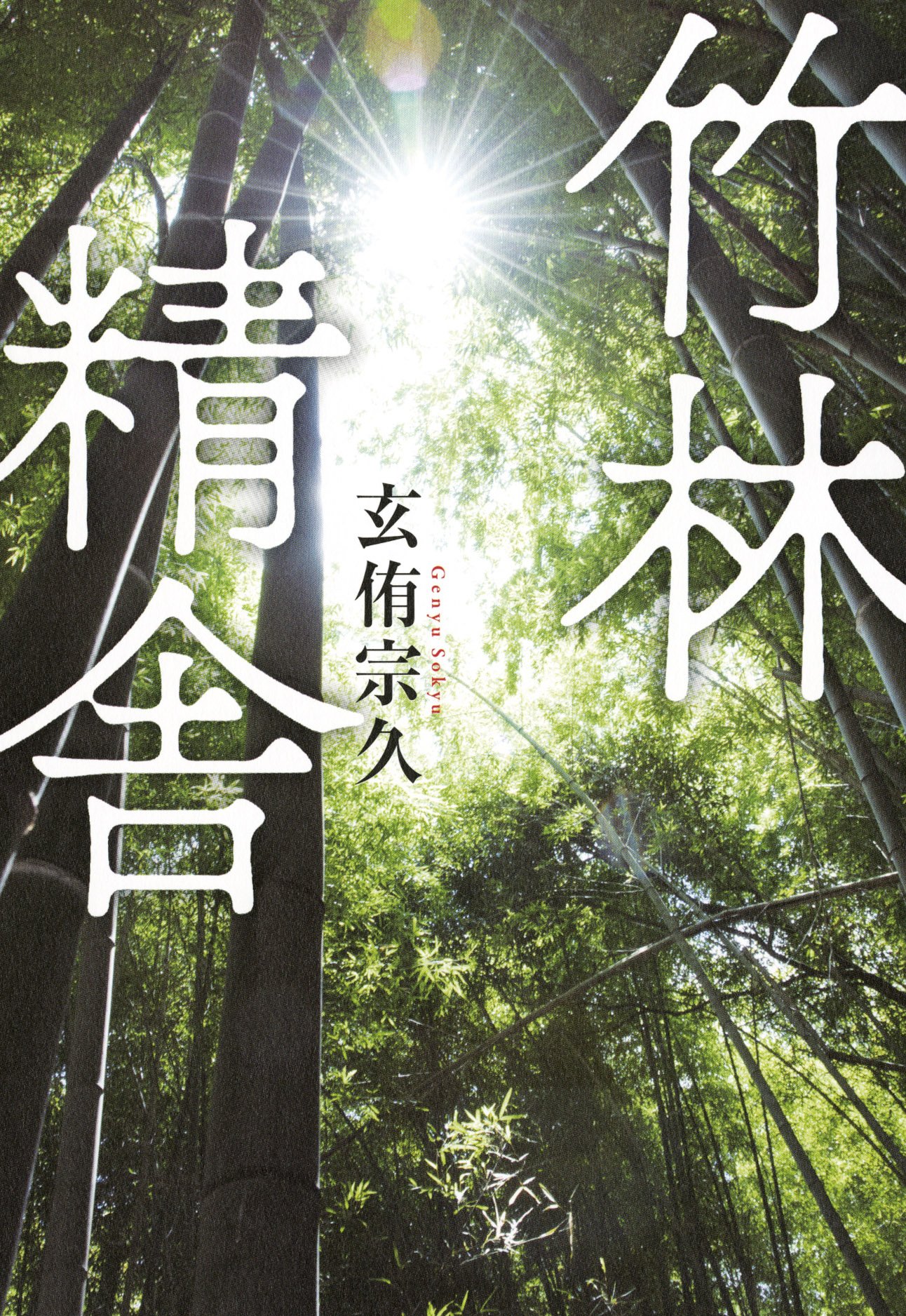 王朝歴史物語の方法と享受/竹林舎/加藤静子（単行本） 竹林精舎 | 玄侑宗久 |本 | 通販 | Amazon