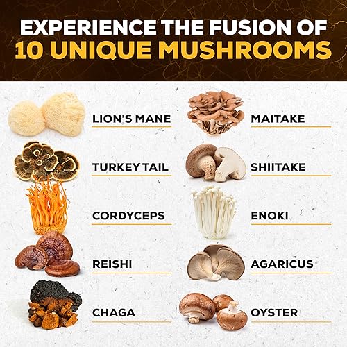 Miniatura 5 de Complejo de suplemento de hongos 10x - Melena de león, cola de pavo, cordyceps, reishi, chaga, maitake, shiitake, setas de extracto de ostras -