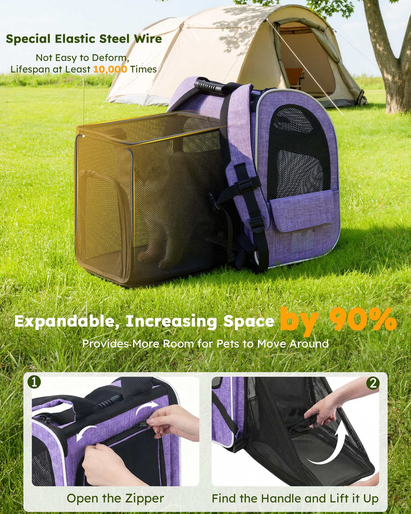 https://m.media-amazon.com/images/I/91p6JdLBBdL.jpg