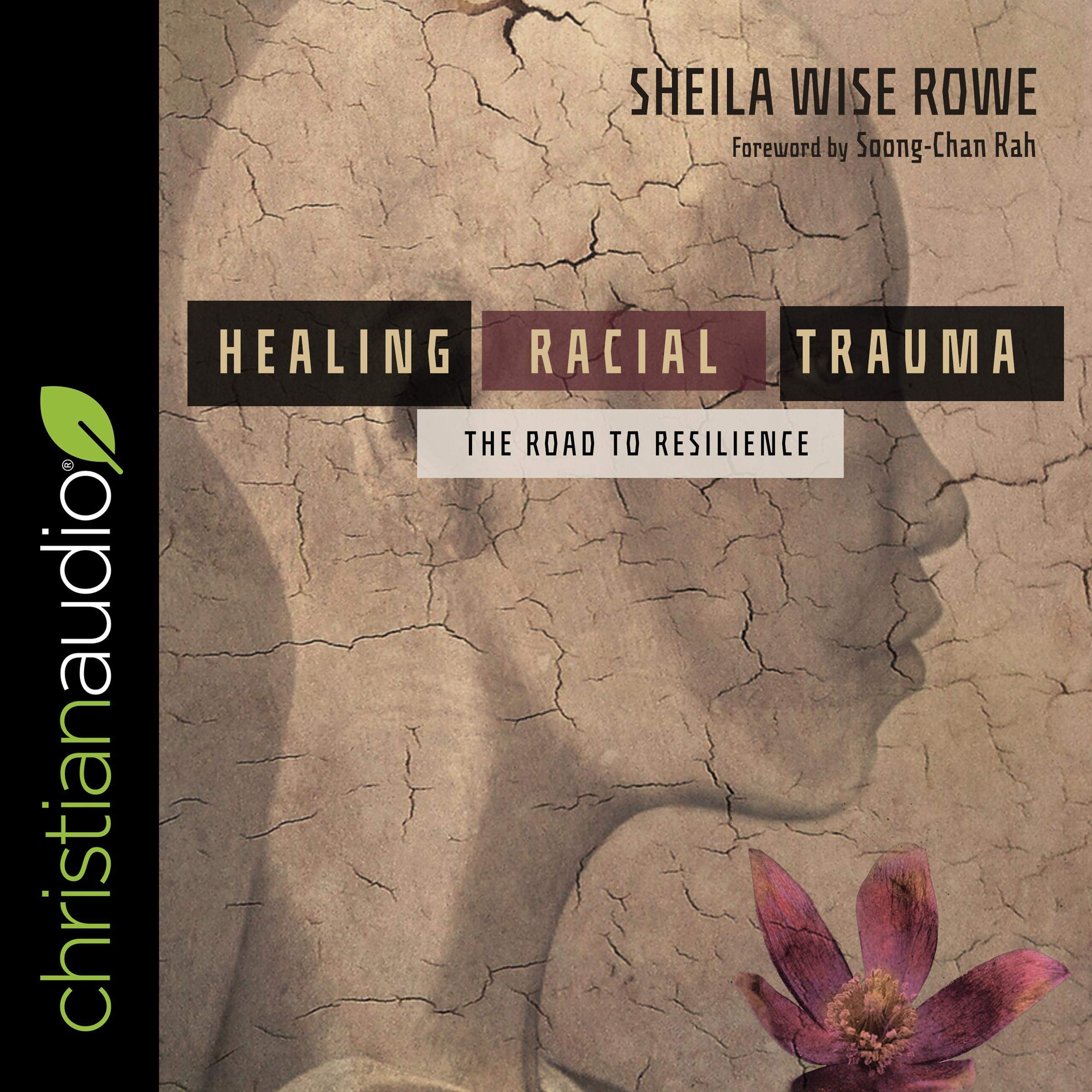 Cover art for Healing Racial Trauma