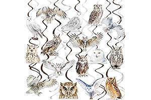 Owl Theme Hanging Swirls For Owl Party