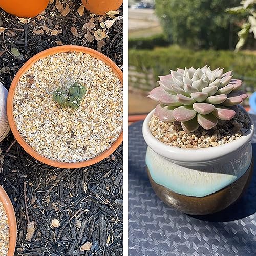 Vista 5 de Avalution Planta de piedra de arena gruesa de 0.079 a 0.176 pulgadas, grava decorativa, grava de cactus bonsái, relleno de terrario, decoración