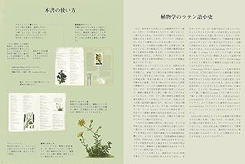 【絶版】復刻・拡大版　植物学ラテン語辞典 絶版】復刻・拡大版 植物学ラテン語辞典 復刻・拡大版 植物学