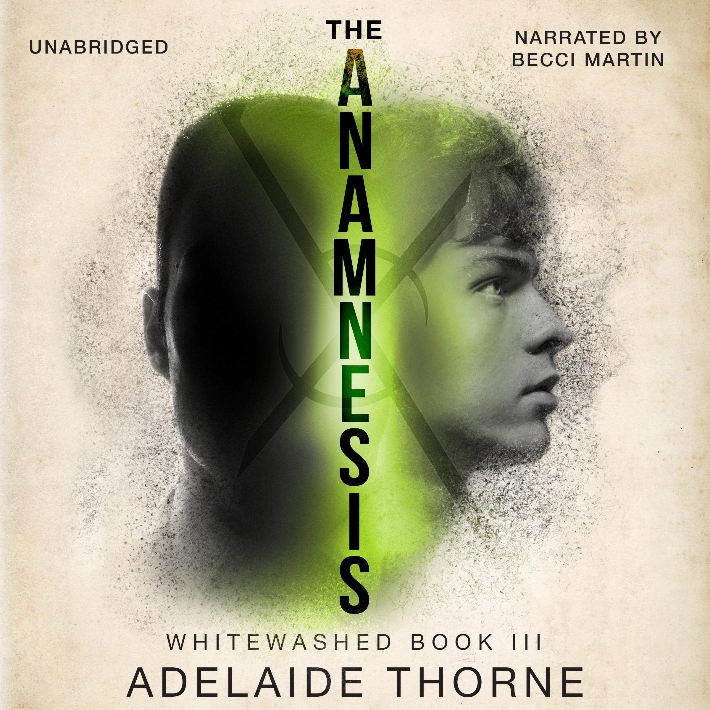 Cover art for The Anamnesis