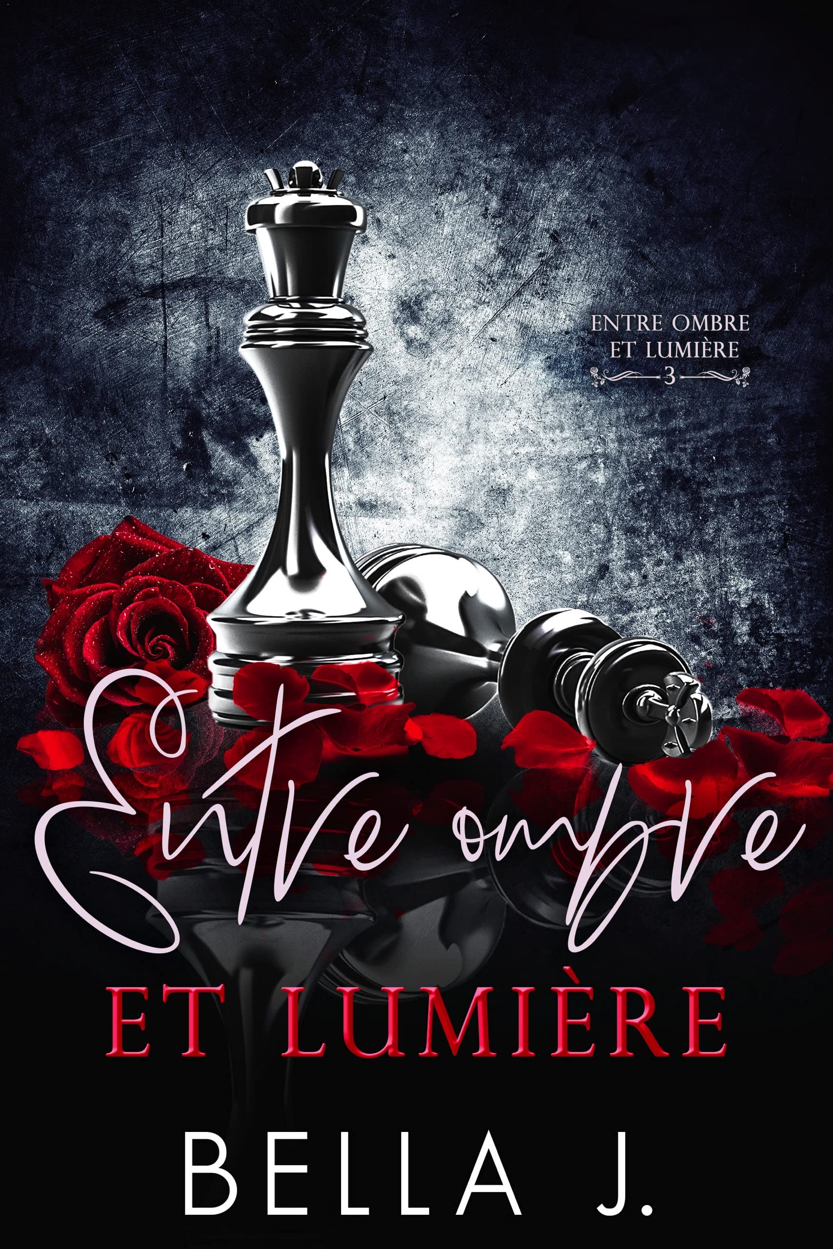 Entre ombre et lumière (French Edition)
