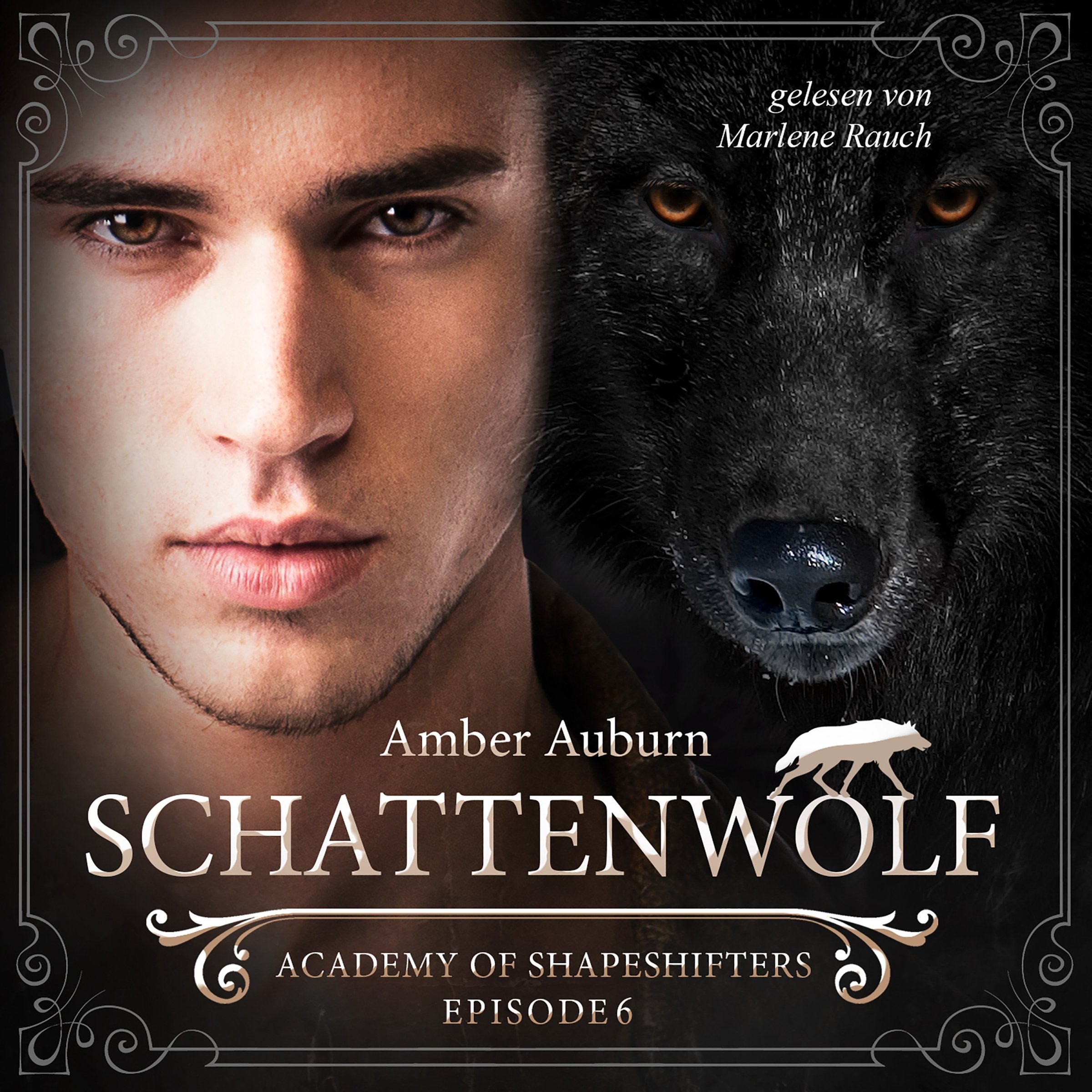 Cover art for Schattenwolf