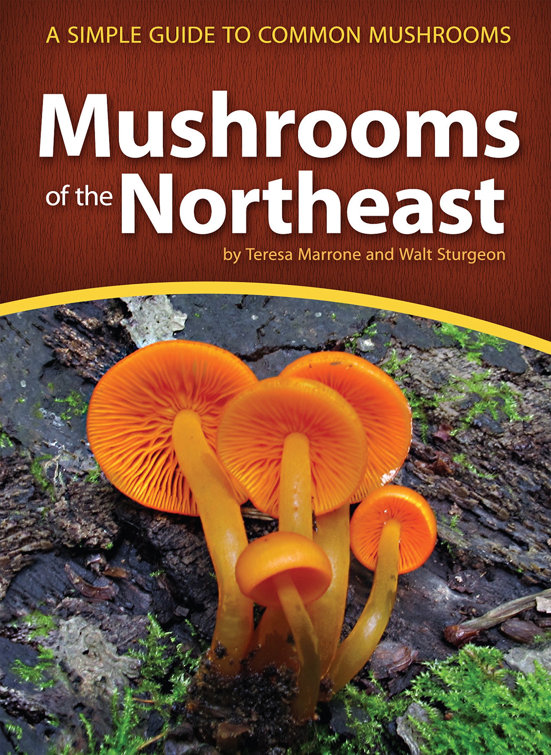 Mushrooms of the Northeast: A Simple Guide to Common Mushrooms (Mushroom Guides)