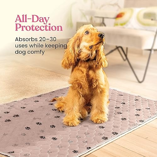 Miniatura 3 de Almohadillas lavables superabsorbentes para orina para perros, paquete de 2 almohadillas reutilizables superiores para entrenamiento de mascotas,