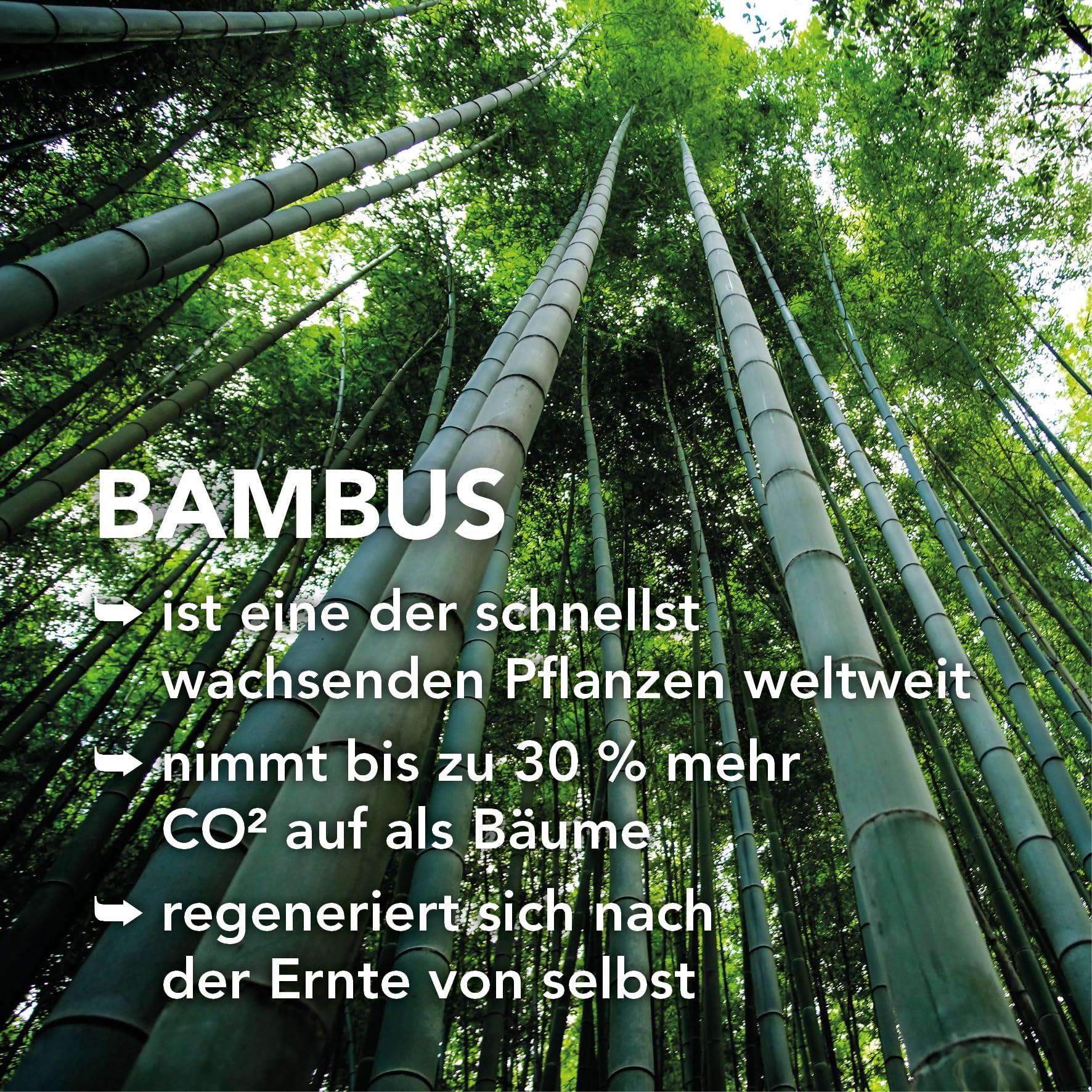 XDREAM Bambus Sommersteppdecke | 100% Baumwolle | leichte Bambusfüllung ideal für den Sommer | waschbar 30 Grad | Allergiker geeignet | kühlende Eigenschaften | Öko-Tex Zertifiziert | 155 x 220 cm