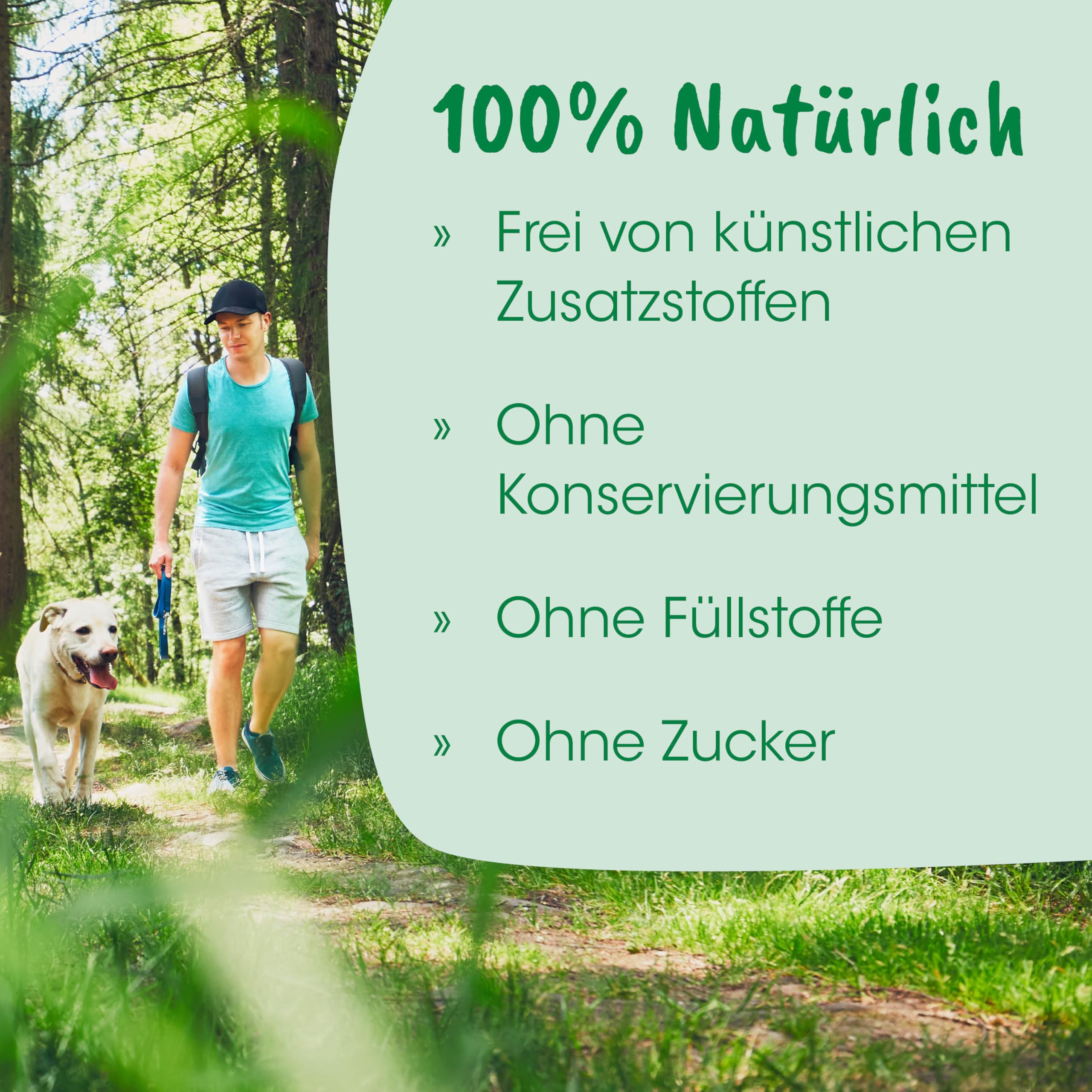 cdVet insektoVet Shampoo schützender Repellent Insektenschutz für Hund und Katze – effektive und wohlriechende Fellpflege