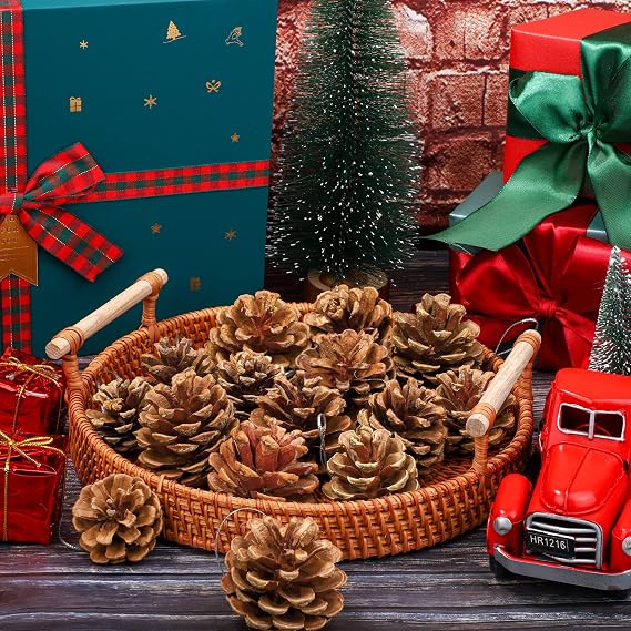 Fovths 30 Pieces 2 Size Christmas Pine Cones with String Mini Rustic Pinecones Bulk Ornaments for Xmas Tree Crafts Holiday Home Hanging Ornament Party Favor Fireplace Table Centerpiece, Natural