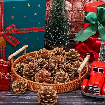 Fovths 30 Pieces 2 Size Christmas Pine Cones with String Mini Rustic Pinecones Bulk Ornaments for Xmas Tree Crafts Holiday Home Hanging Ornament Party Favor Fireplace Table Centerpiece, Natural