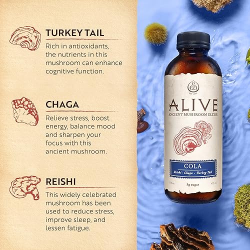 Miniatura 7 de ALIVE - Elixir de hongos, sabor a cola, botella de 16 onzas líquidas, bebida adaptógena espumosa para claridad mental, enfoque y estado de ánimo
