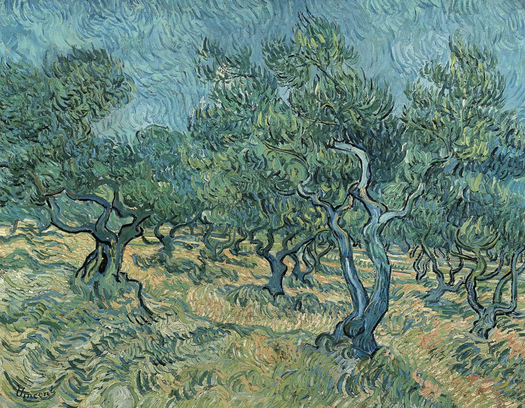 ARTXLXXBN Famous Print Painting Colorful Art Print the Olive Grove Canvas Art Decorations for Home Decor 60x90cm