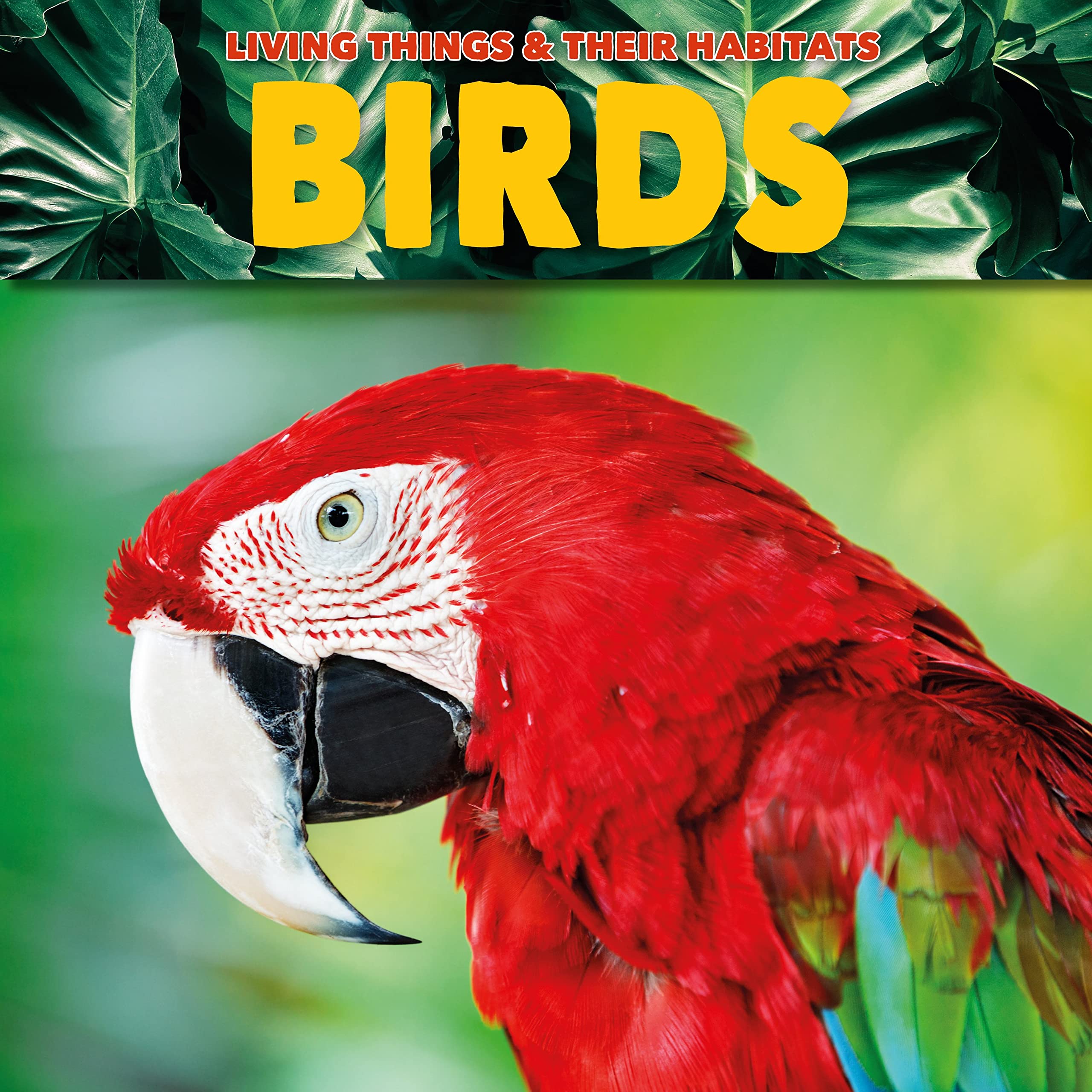 Birds (Living Things and Their Habitats)