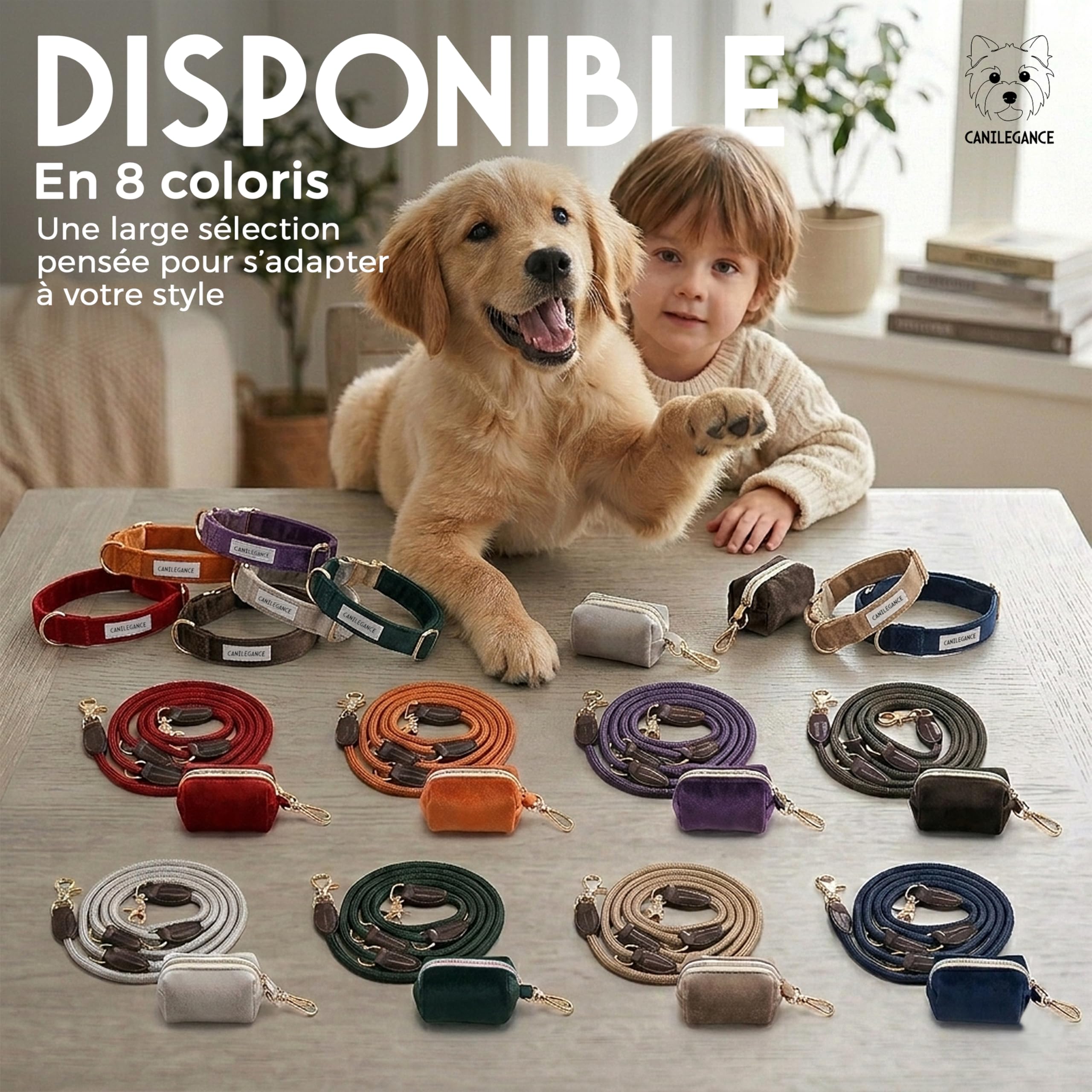 Set de Promenade pour Chien Collier Réglable Laisse 4-en-1 Porte-Sachet Violet Taille L Tour de Cou 39-59 cm Lavable en Machine