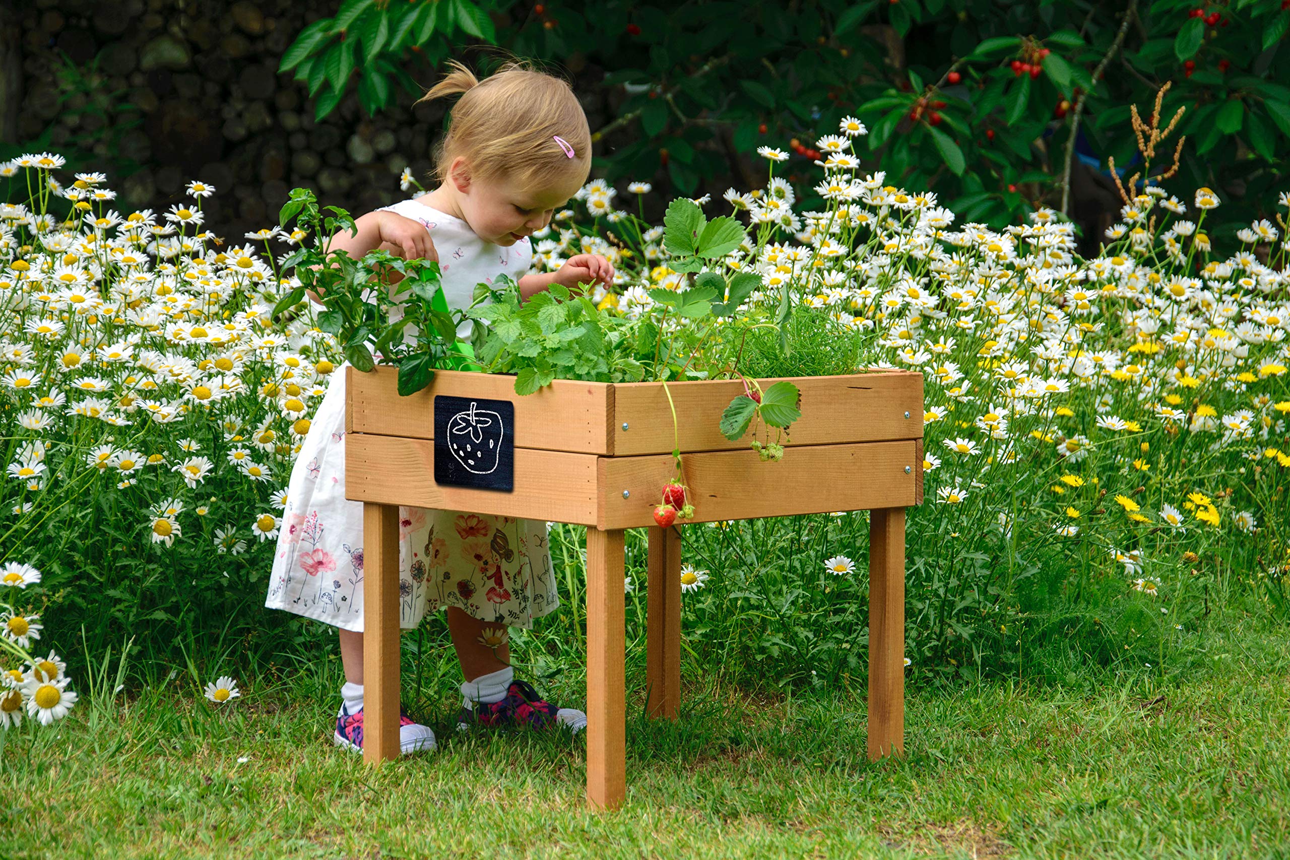 dobar Jardinière surélevée pour Enfant avec Tableau Craie, Petit bac à Herbes pour la terrasse et Le Balcon, 50 x 40 x 45 cm, en pin Marron