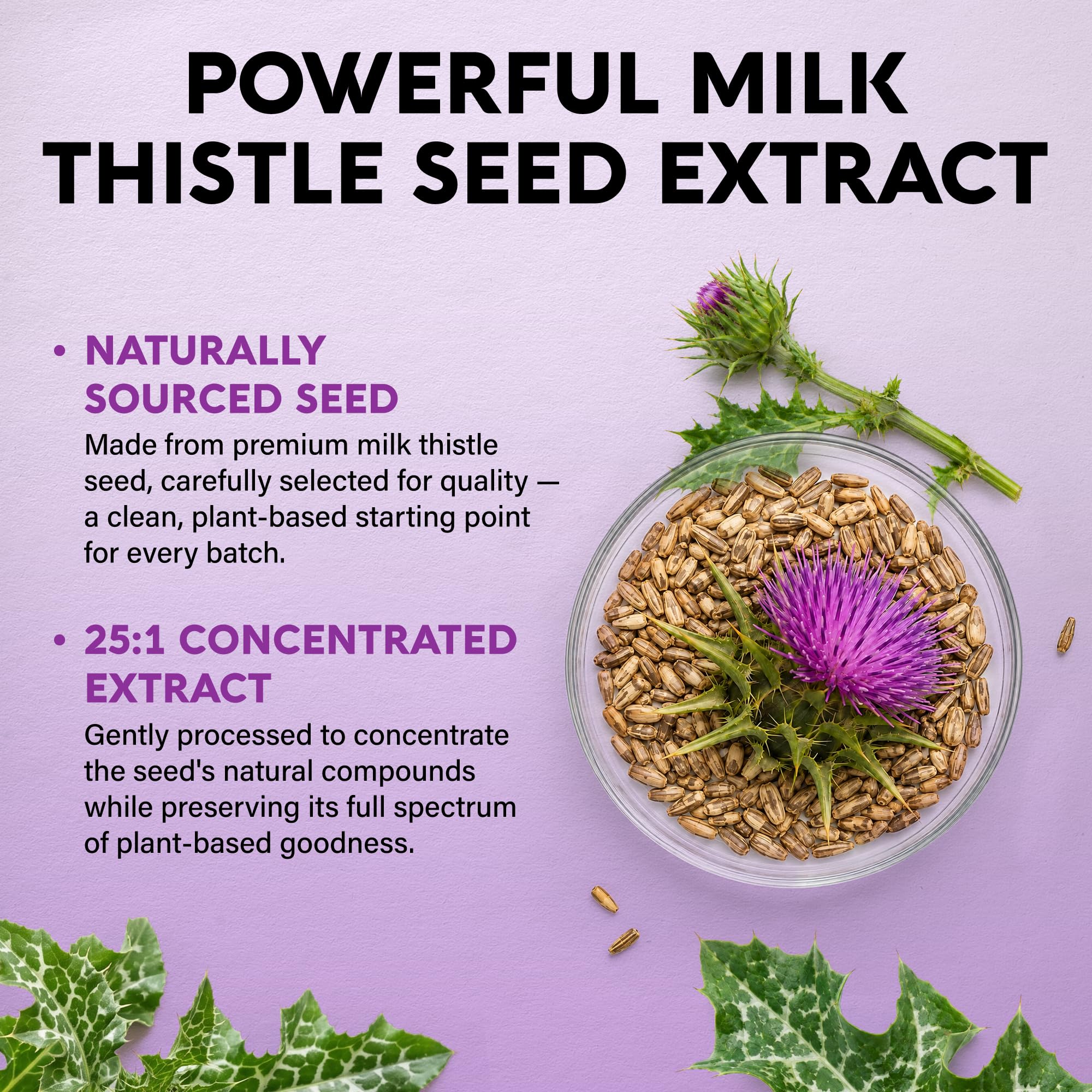 Liver Cleanse & Detox - Milk Thistle, Dandelion, Artichoke, TUDCA - 60 Caps — Amazon image 4