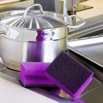 Scotch-Brite 1789760 Extreme Dish Sponge with 2 Nail Protectors