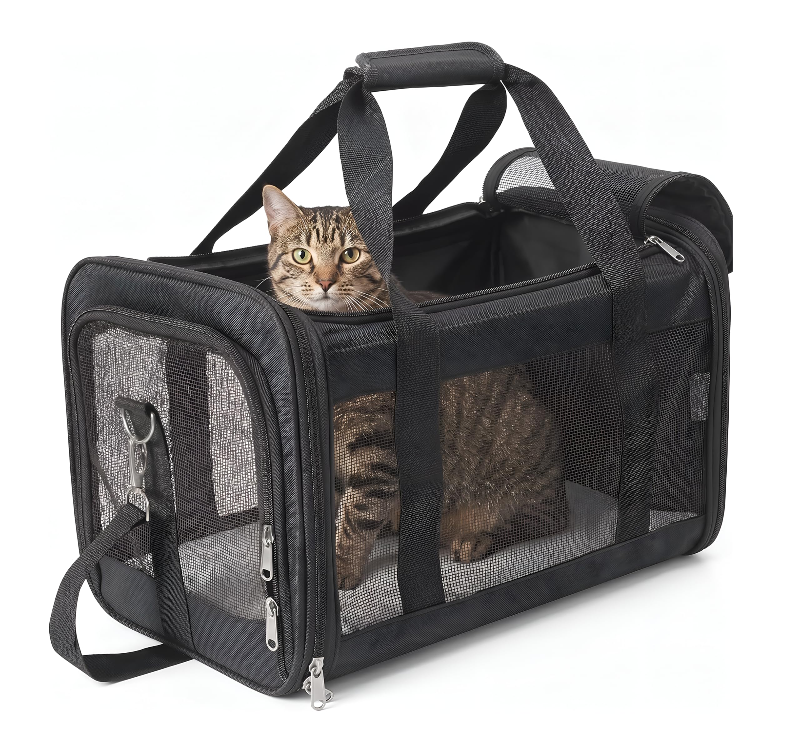 REQUISITE NEEDS Pet Carrier, Soft-Sided Foldable Travel Bag, Airline Approved, Large Size for Cats and Dogs up to 17 lbs, Black, with Shoulder Strap and Removable Mat
