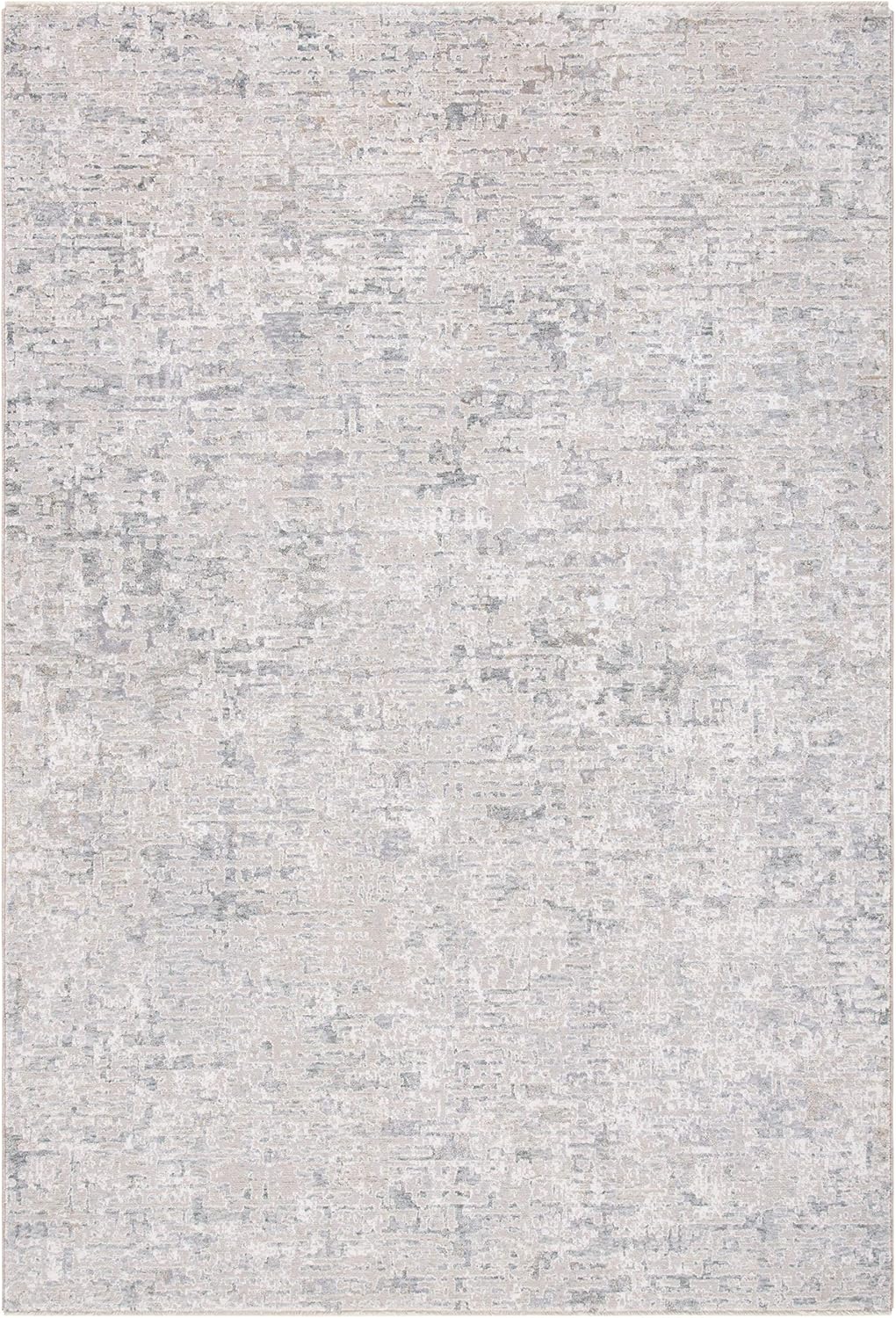 SAFAVIEH Area Rug 8x10 - Webster Collection - Large - Grey & Beige, Distressed Viscose Design, Ideal for Living Room, Bedroom, Office, Dining Space (WBS310G)