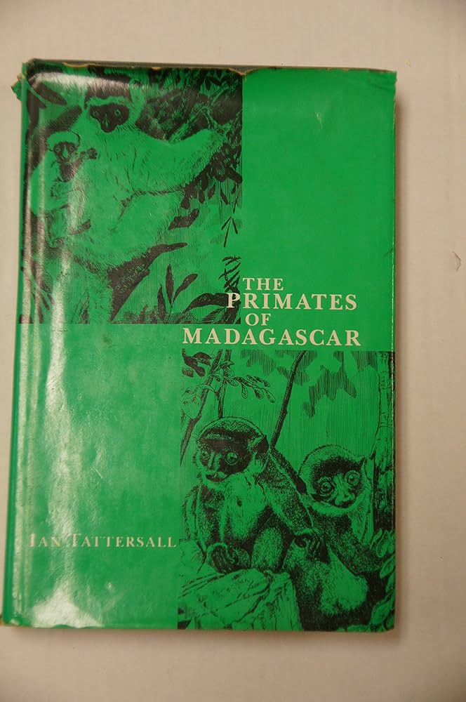 洋書 The Primates of Madagascar Ian Tattersal Primates of Madagascar: Tattersall, Ian: 9780231047043