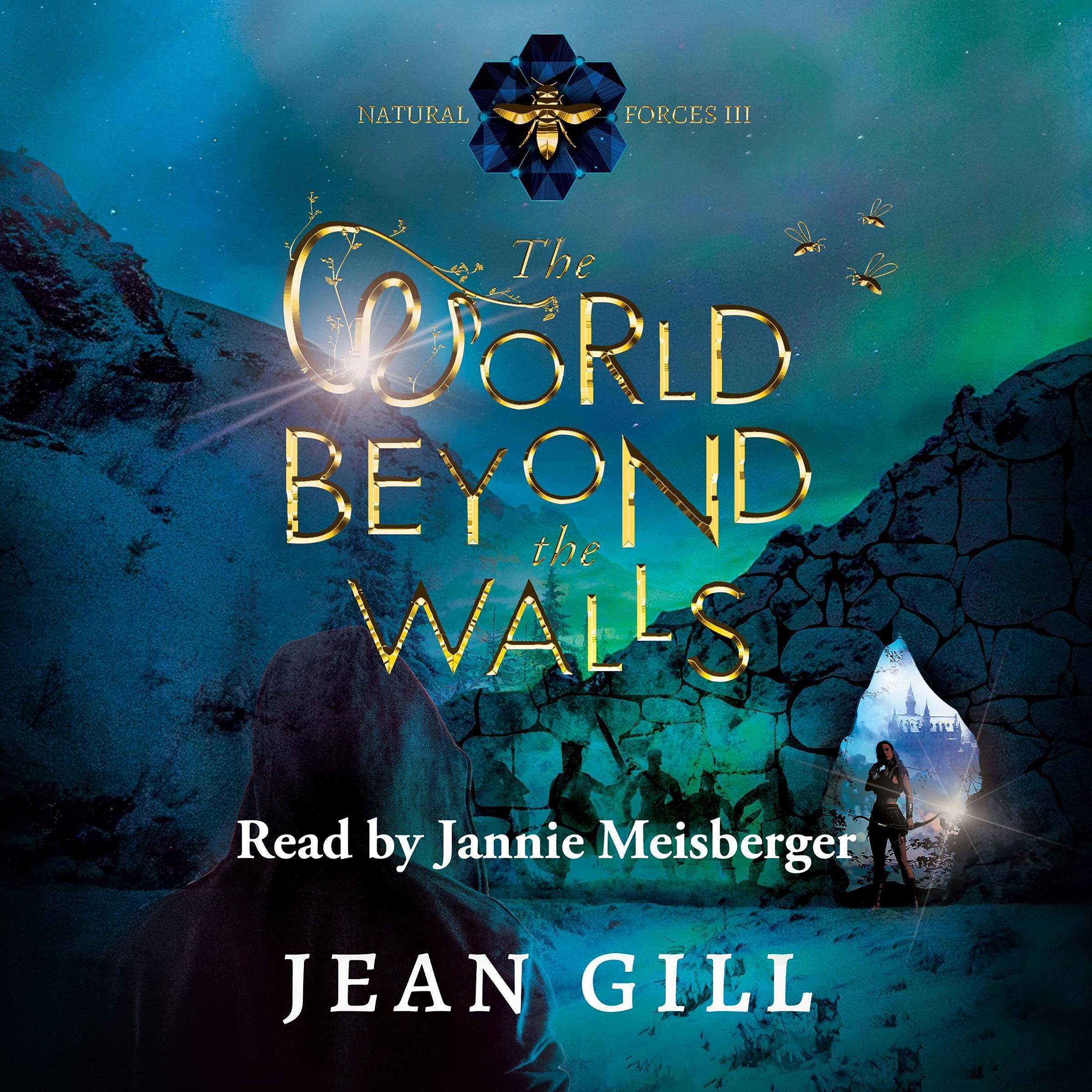 Cover art for The World Beyond the Walls