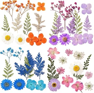 40PCS Dried Flowers Pressed Flowers for Resin DIY Craft Kit