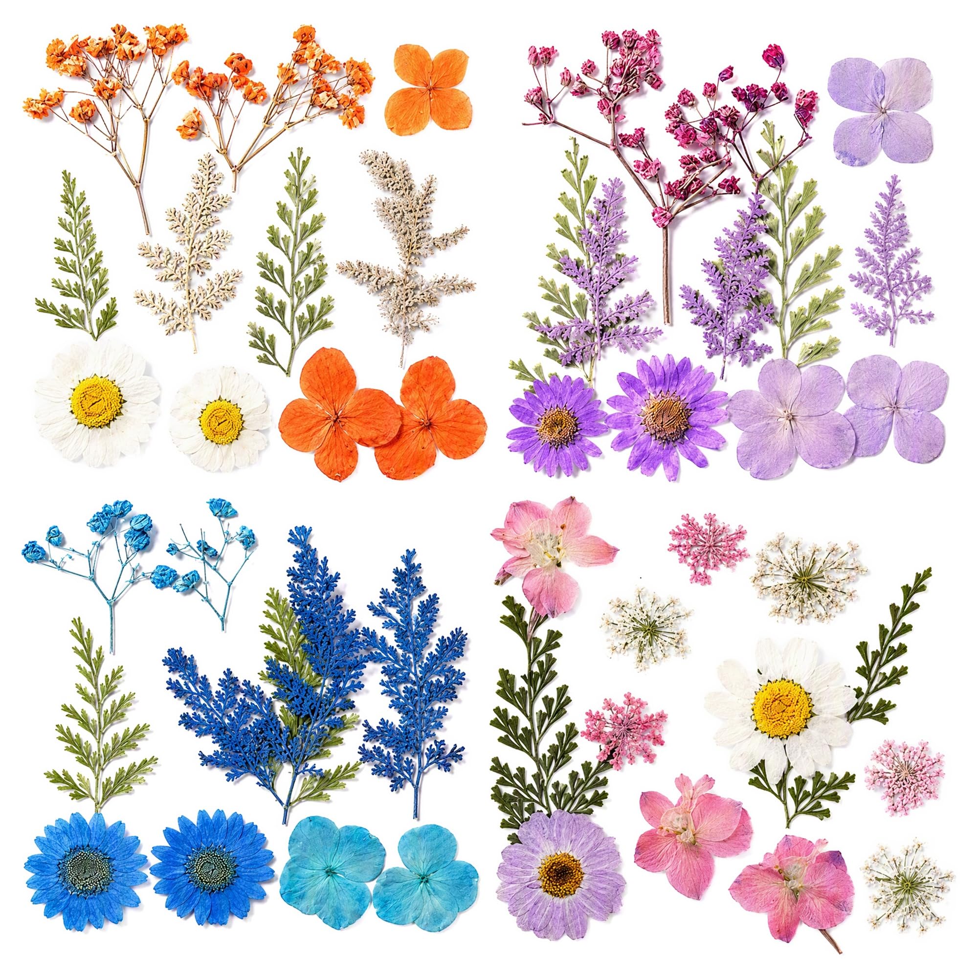 40PCS Dried Flowers Pressed Flowers for Resin DIY Craft Kit