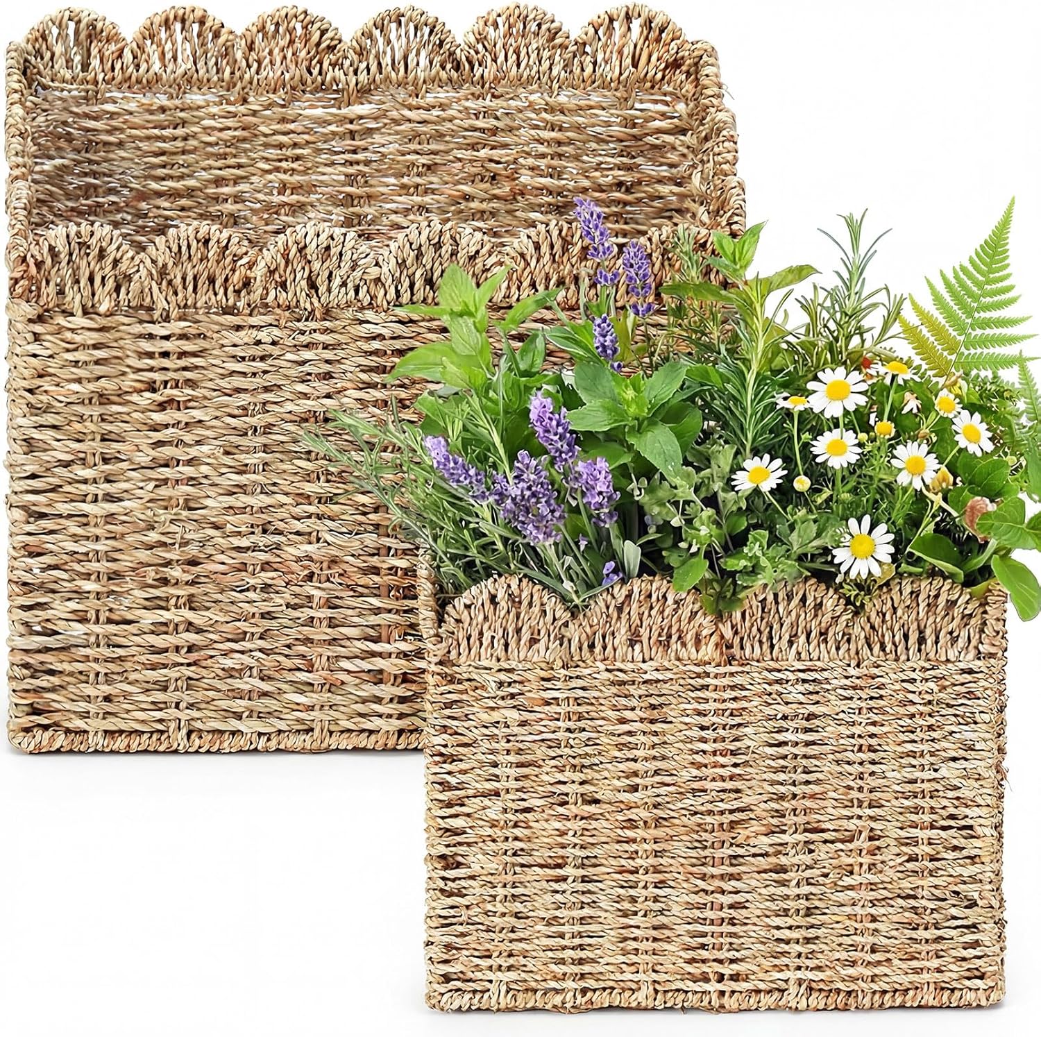2 Pack Scalloped Wicker Hanging Basket for Organizing Woven Wall Baskets for Front Door Mail Flowers Books Accessories Boho Rustic Farmhouse Wall Decor (Pe Rattan)