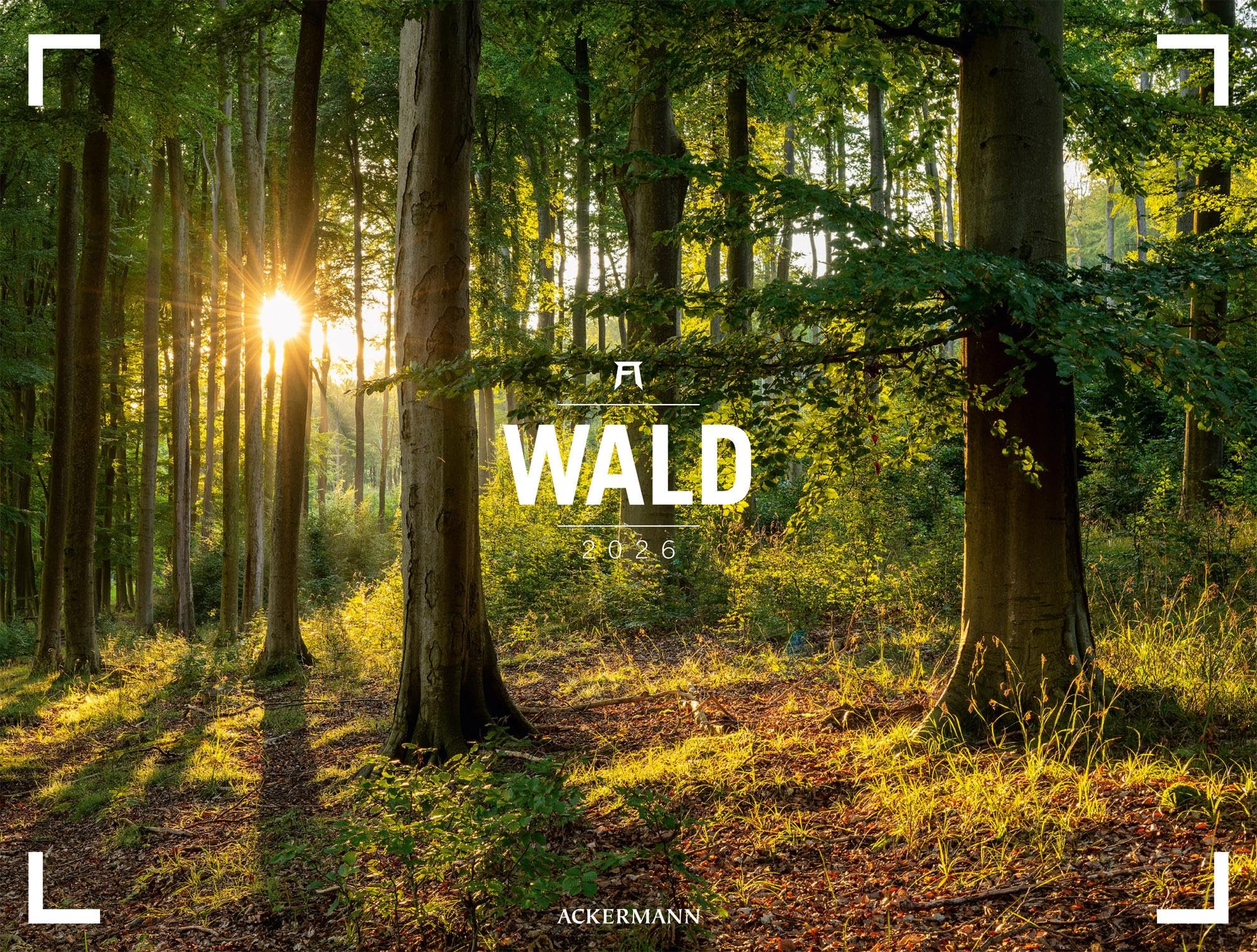 Wald Gallery Kalender 2026 | Geschmackvoller Natur-Kalender im großen Querformat (66x50 cm) | Wälder und Bäume im Großformat