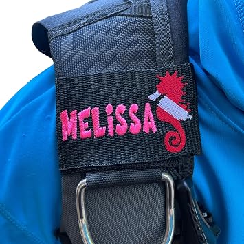 BCD Name Tag - Personalized Embroidered Scuba BCD Tag for Divers, Waterproof Dive Gear Identification - Dive Flag Seahorse