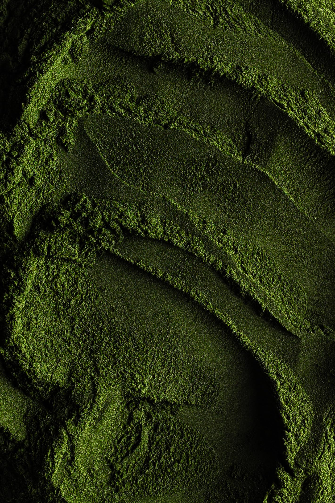 Biojoy Spirulina (Alga) Biologica in Polvere (1 kg), Pura e Senza Additivi (Arthrospira platensis)