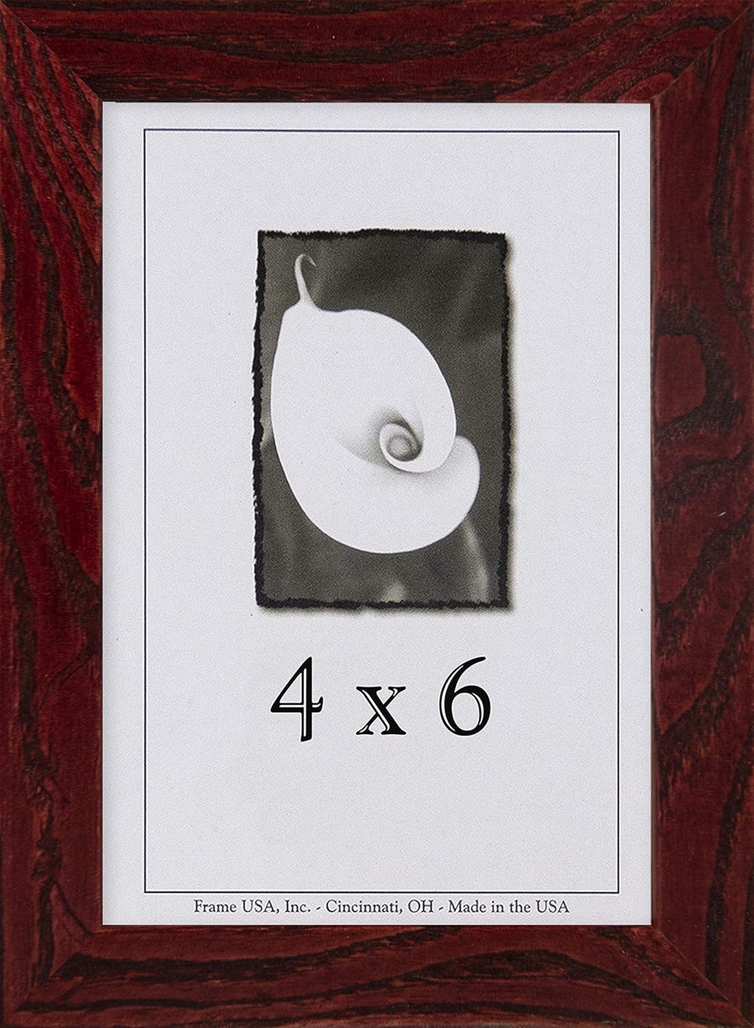 Frame USA Architect Series 4x6 Wood Photo and Art Frames (Cherry)