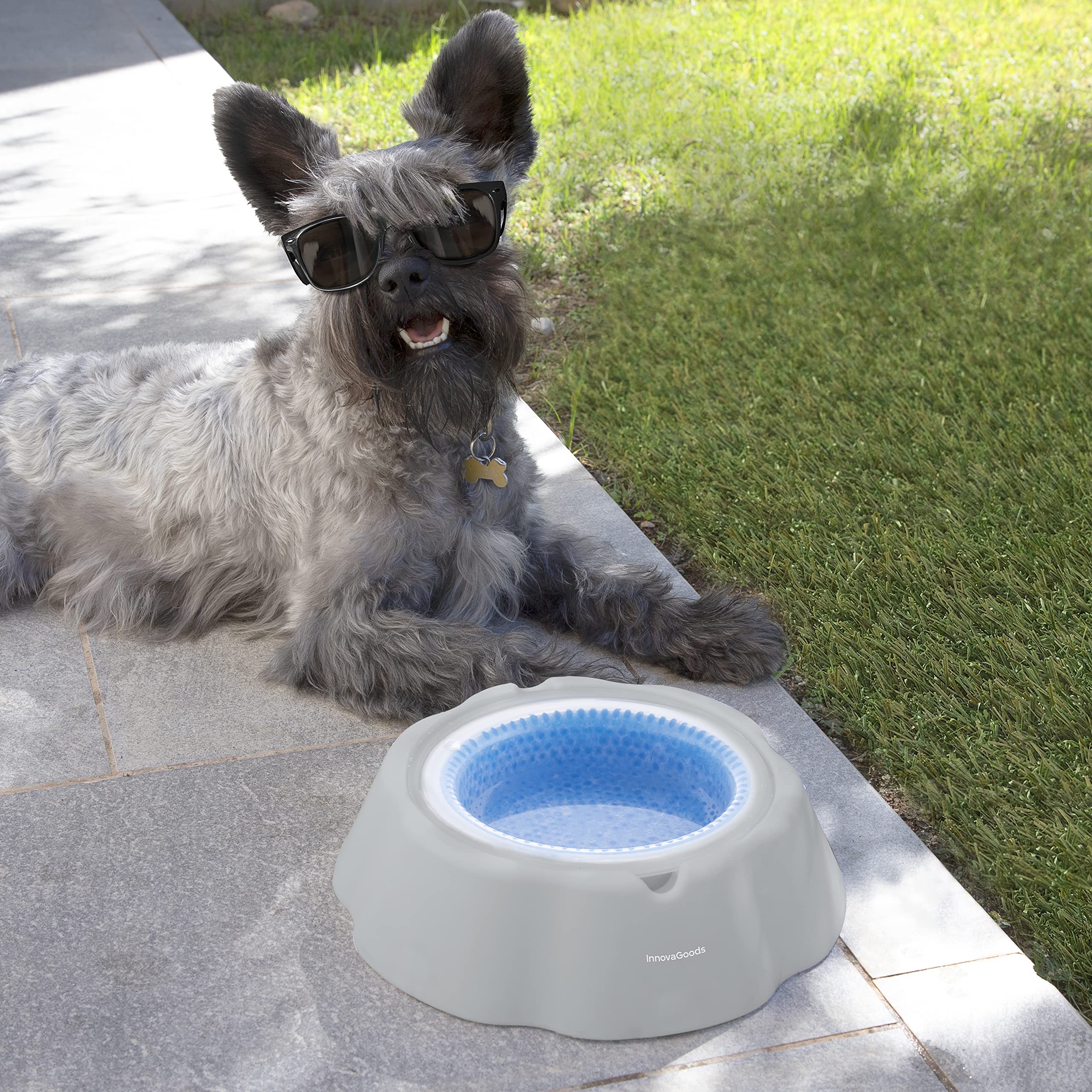 Bebedero Refrescante para Mascotas Freshty InnovaGoods, Gris Azul