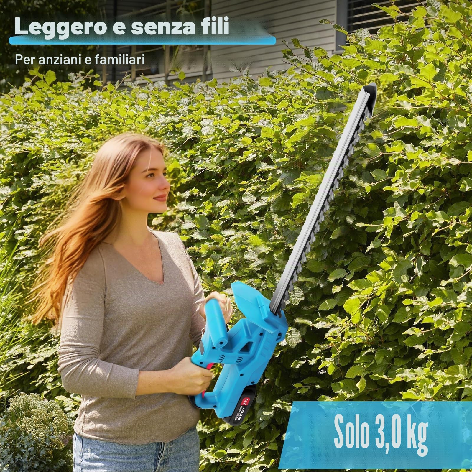Tagliasiepi a batteria, 21 V, elettrico da giardino, batteria con 2 batterie e caricabatterie, lunghezza di taglio 50 cm, distanza tra i denti 17 mm, lama doppia azione, con display LED, custodia