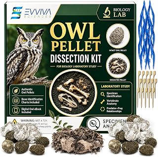 ES EVVIVA SCIENCES Owl Pellet Kit - Dissect 30 Mostly Small Real Owl Pellets w/Tools & PDF Bone Charts - Science Education Kit for Ages 15+ - Hands-On Animal Biology Science Lab Activity