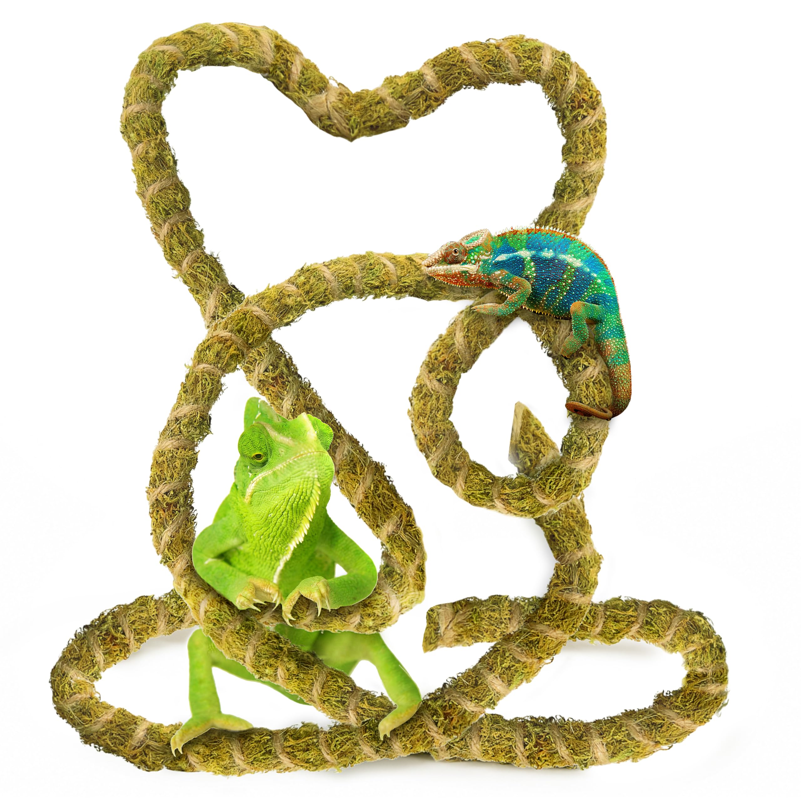 Duspro Vides de reptiles de 10 pies para trepar ramas flexibles para reptiles, cuerda de musgo natural, decoración de selva para dragón barbudo, accesorios de tanque de camaleón, terrario de