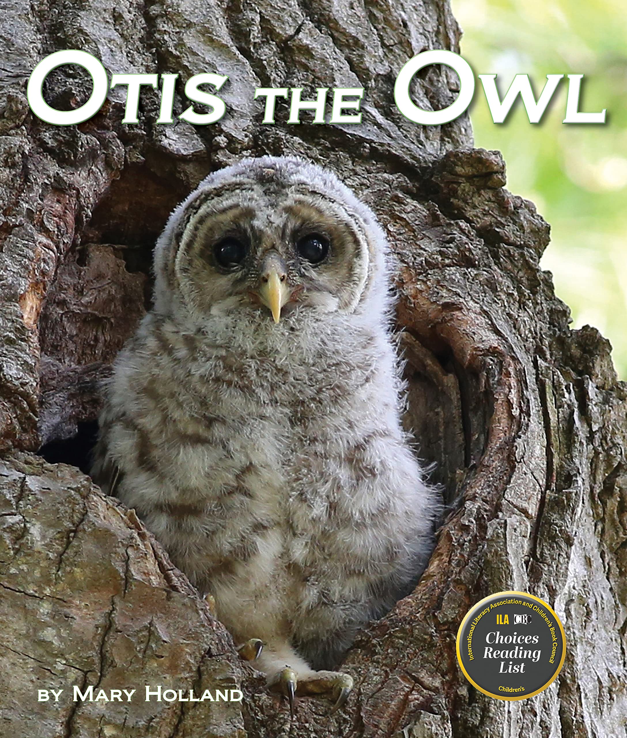 Otis the Owl (Arbordale Collection)