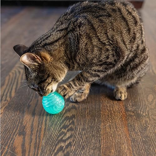 Miniatura 7 de Juguete para gatos Catstages Bola Dispensadora de Golosinas – Bola dispensadora de golosinas interactiva para gatos, estimulación mental y ejercicio