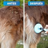 Ver la foto 4