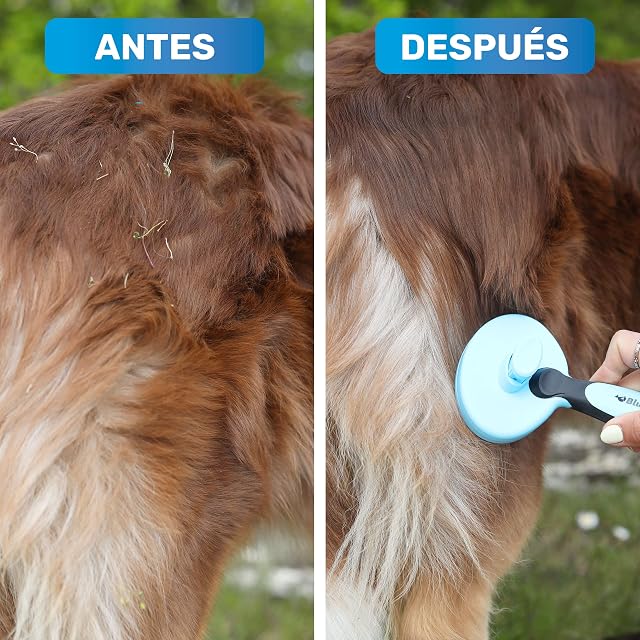 Foto 4 de 7 de BluePet Cepillo Autolimpiante Perros Gatos Pelo Largo, Contra Subpelo Nudos