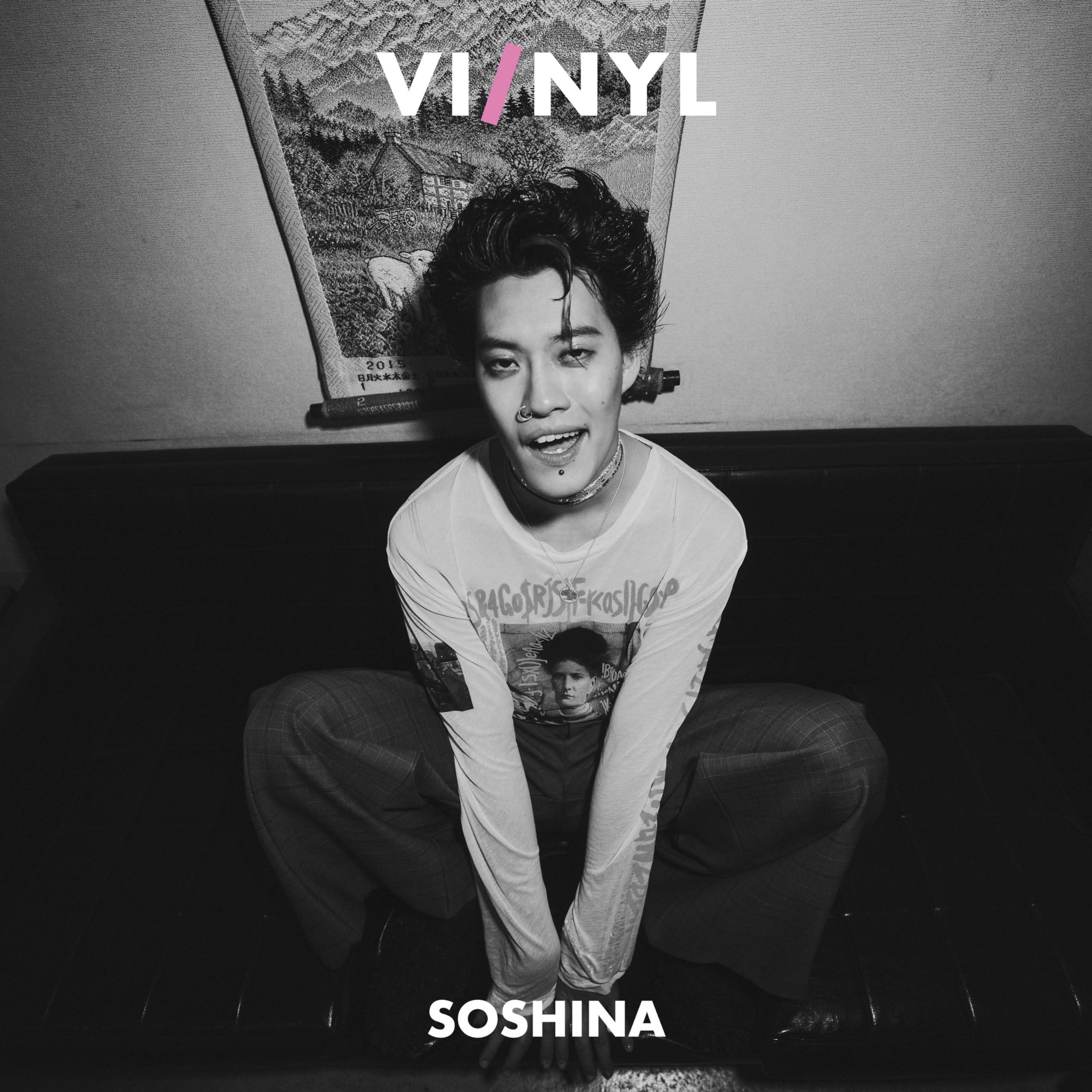 Amazon.co.jp: VI/NYL(バイ&ナル) #019 【表紙：粗品】 : VI/NYL: 本