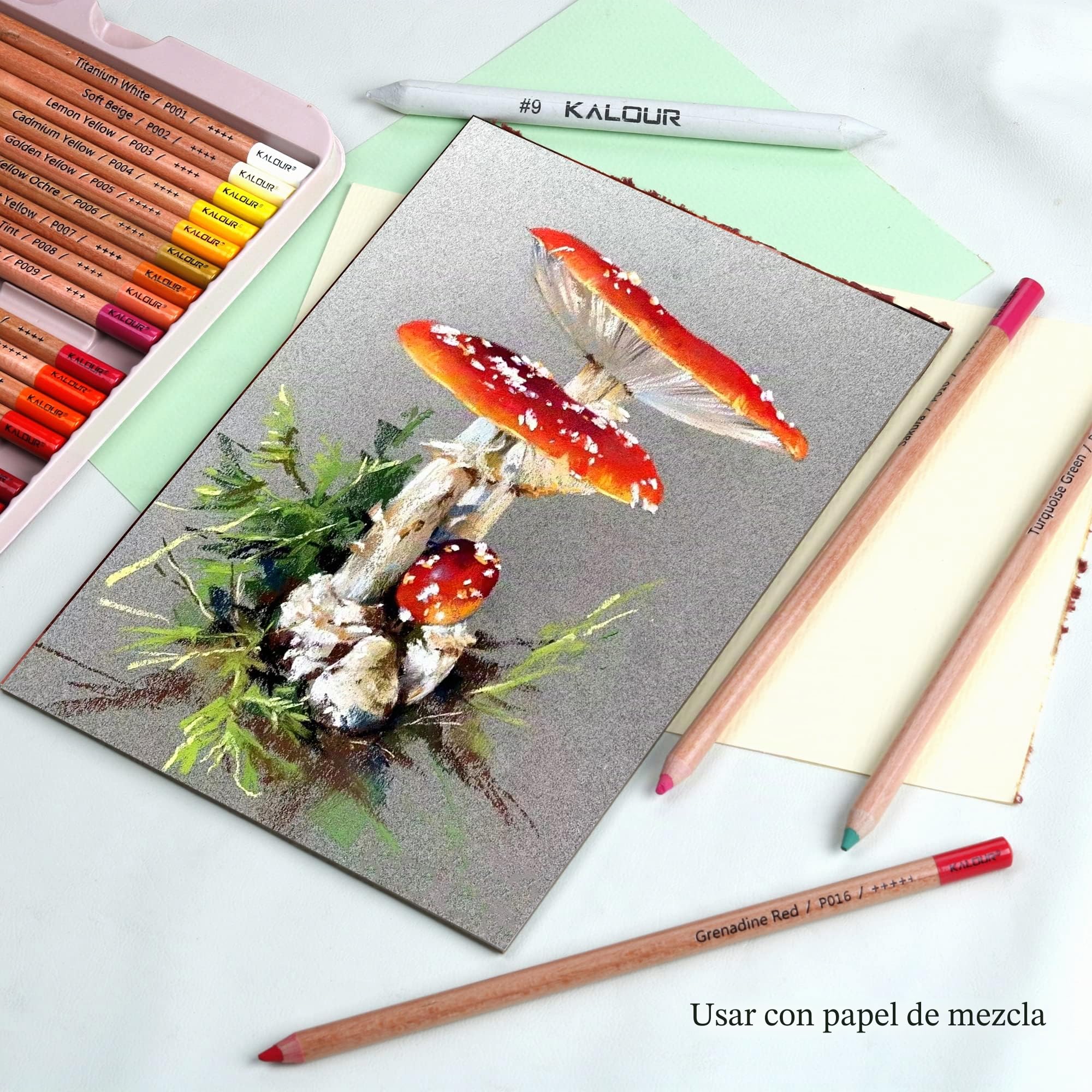 KALOUR Pro - Juego de 50 lápices de colores pastel para dibujar, esbozar, colorear, sombrear, suministros de arte para adultos, artistas