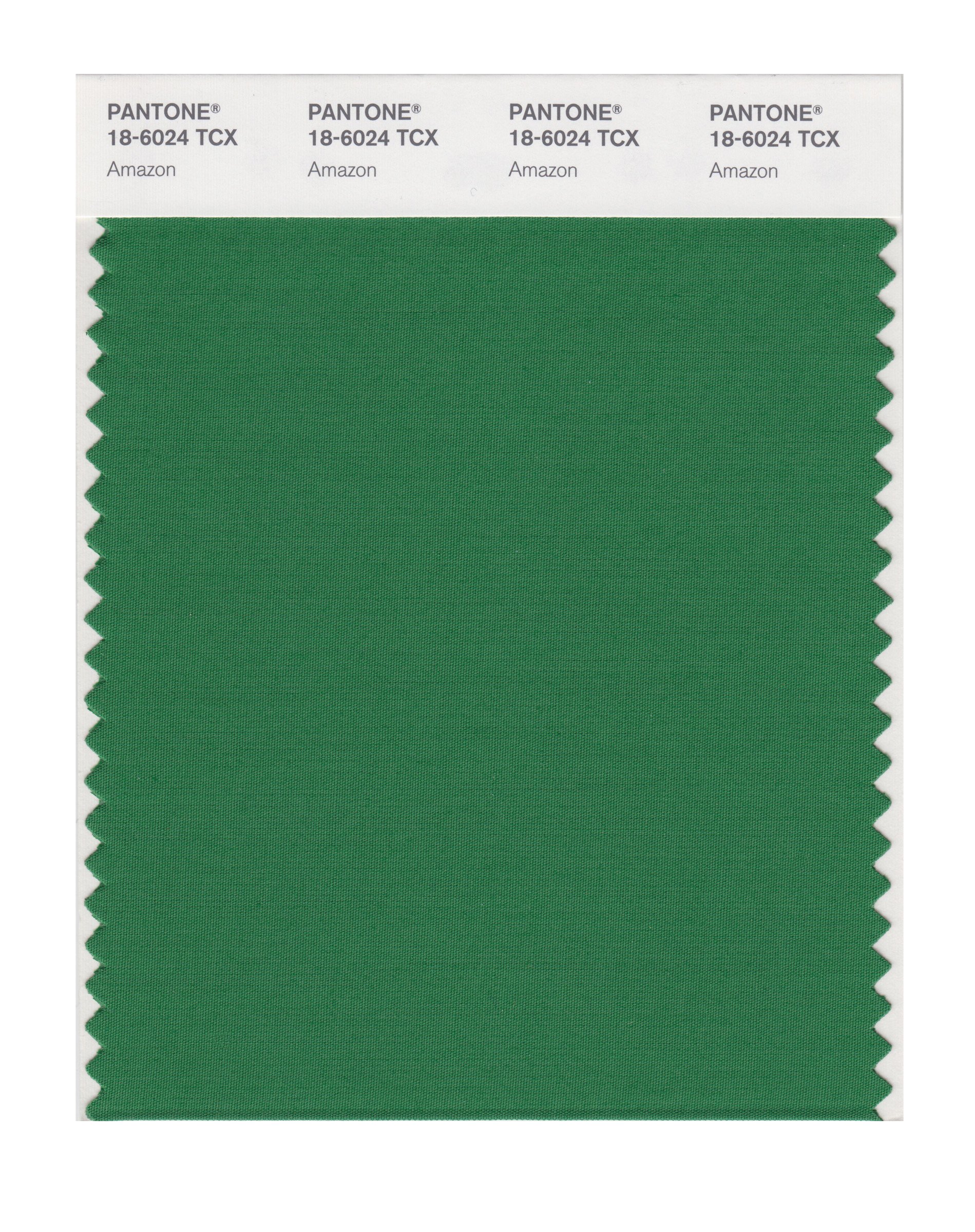 Amazon.com: PANTONE Smart 18-6024X Color Swatch Card, Amazon