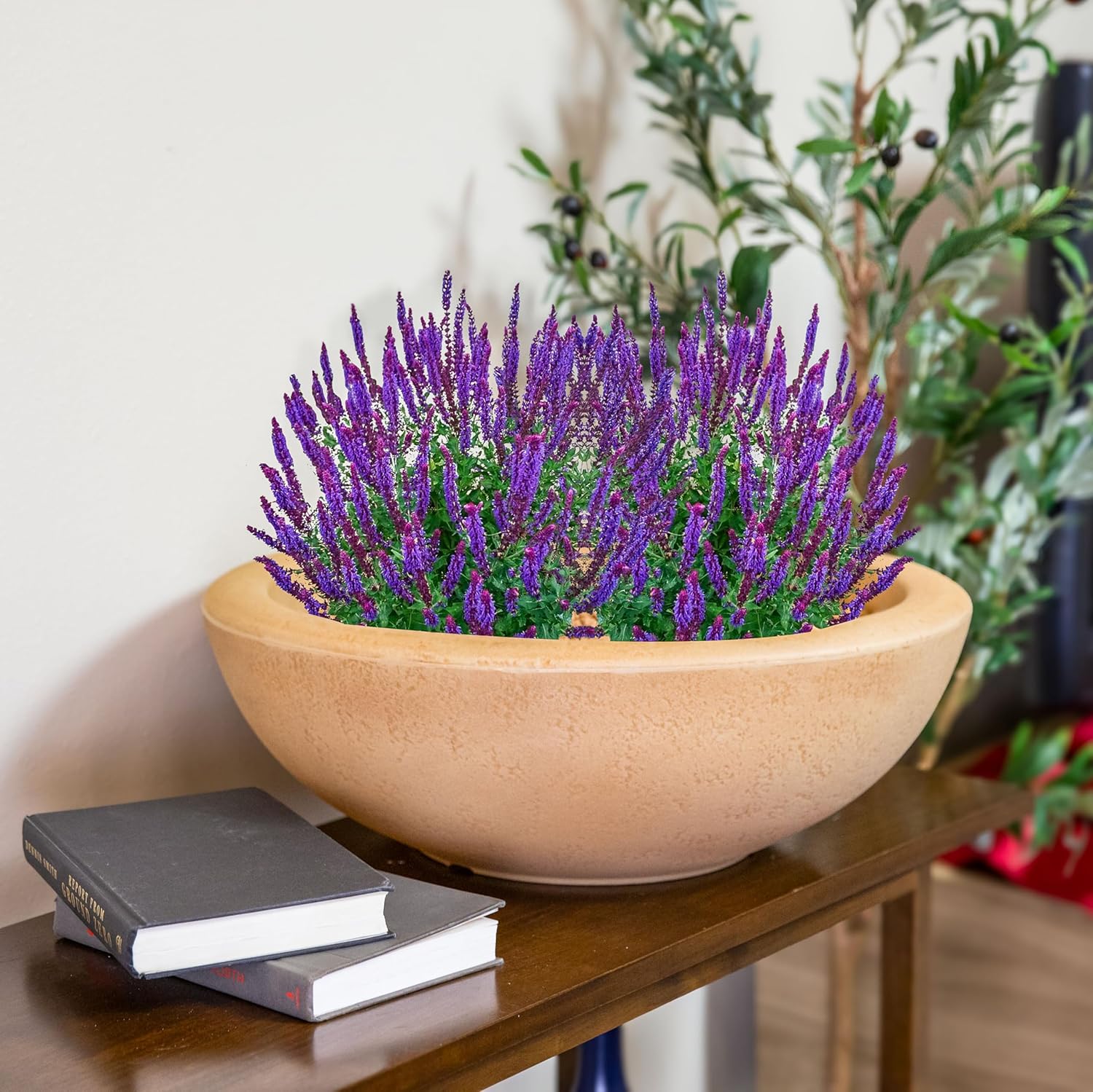 Sunnydaze Percival 20.75" Shallow Outdoor Planter Bowl for Flowers and Succulents - Polyresin Double-Walled Design - Sand - Set of 2