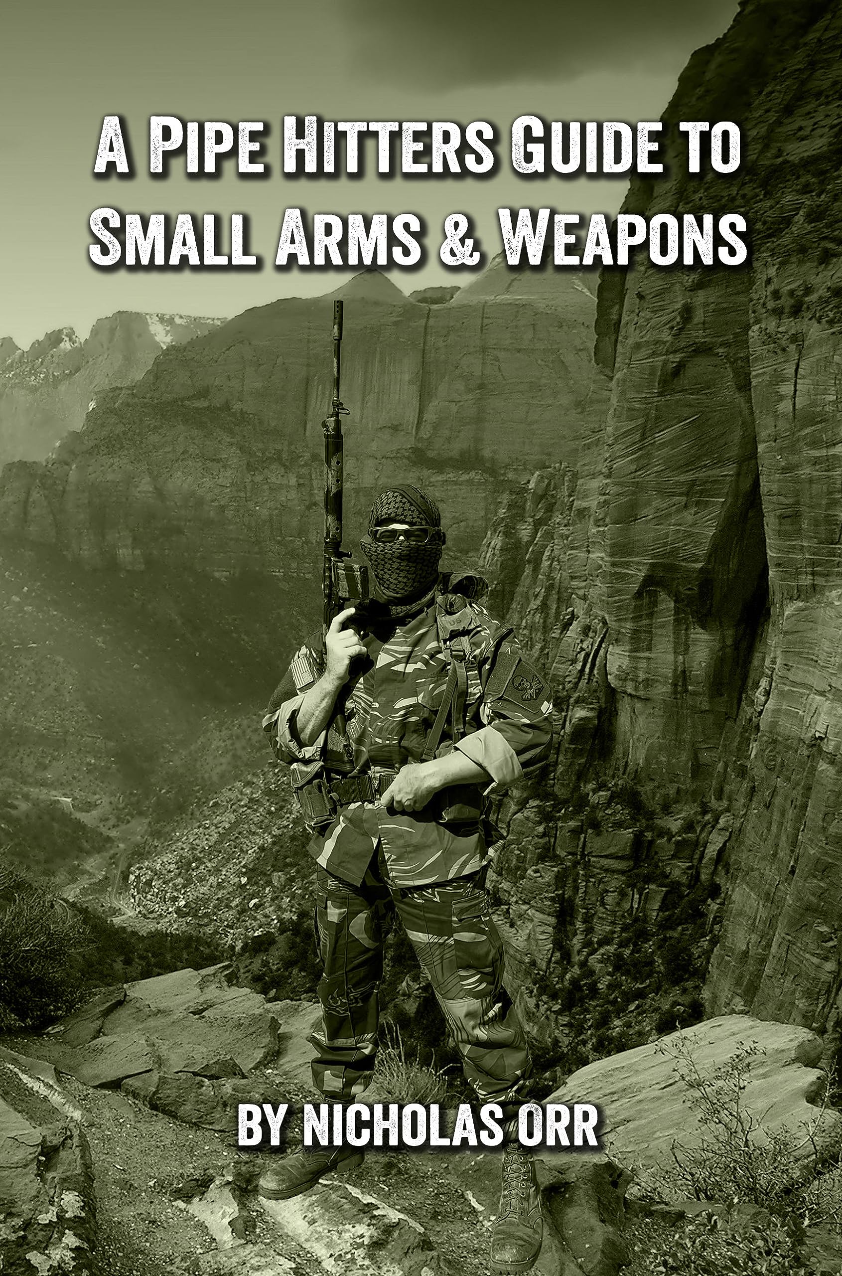 A Pipe Hitters Guide to Small Arms & Weapons (Pipe Hitters Guides Book 4)